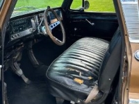 1966 Chevrolet C10 for sale in Michigan (ID-130211)