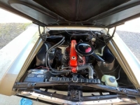 1966 Chevrolet Chevelle for sale in Michigan (ID-103312)