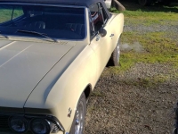 1966 Chevrolet Chevelle for sale in Michigan (ID-104703)