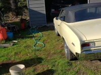 1966 Chevrolet Chevelle for sale in Michigan (ID-104703)