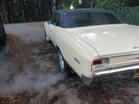 1966 Chevrolet Chevelle for sale in Michigan (ID-104703)