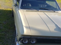 1966 Chevrolet Chevelle for sale in Michigan (ID-104703)