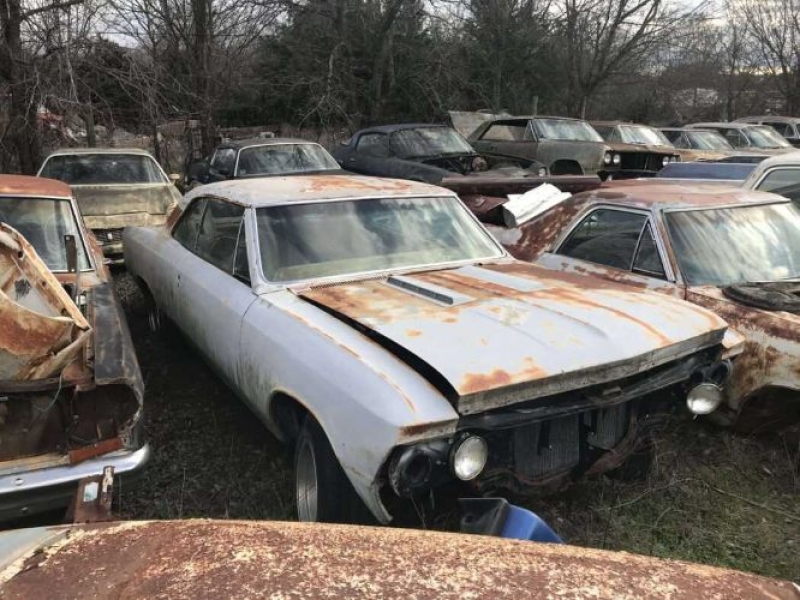 1966 Chevrolet Chevelle for sale in Michigan (ID-113137)