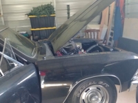 1966 Chevrolet Chevelle for sale in Michigan (ID-113417)