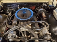 1966 Chevrolet Chevelle for sale in Michigan (ID-127654)