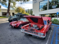 1966 Chevrolet Chevelle for sale in Michigan (ID-130014)