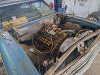 1966 Chevrolet Chevelle for sale in Michigan (ID-136991)