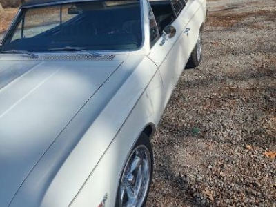 1966 Chevrolet Chevelle for sale