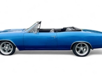 1966 Chevrolet Chevelle for sale in Addison, Illinois (ID-142535)