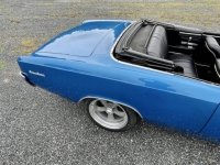 1966 Chevrolet Chevelle for sale in Addison, Illinois (ID-142535)