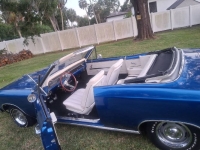 1966 Chevrolet Chevelle for sale in Michigan (ID-142665)