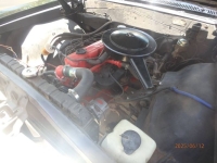 1966 Chevrolet Chevelle for sale in Michigan (ID-144463)