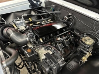 1966 Chevrolet Chevelle for sale in Michigan (ID-145424)