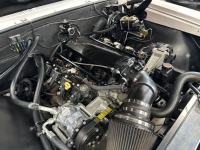 1966 Chevrolet Chevelle for sale in Michigan (ID-145424)