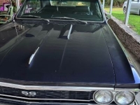 1966 Chevrolet Chevelle for sale in Michigan (ID-146228)