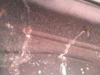 1966 Chevrolet Chevelle for sale in Michigan (ID-154826)