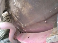 1966 Chevrolet Chevelle for sale in Michigan (ID-154826)