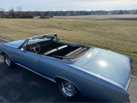 1966 Chevrolet Chevelle for sale in Michigan (ID-163596)