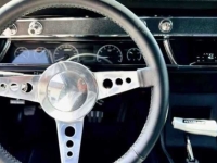 1966 Chevrolet Chevelle for sale (ID-164441)