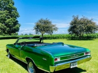 1966 Chevrolet Chevelle for sale (ID-164596)