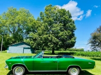 1966 Chevrolet Chevelle for sale (ID-164596)