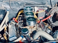 1966 Chevrolet Chevelle for sale (ID-164596)