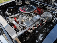 1966 Chevrolet Chevelle SS for sale in Riverhead, New York (ID-114196)