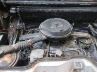1966 Chevrolet Corvair for sale in Michigan (ID-124324)