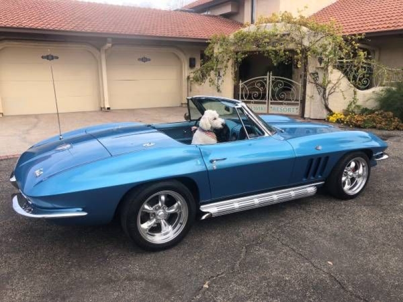 1966 Chevrolet Corvette for sale in Michigan (ID-113844)