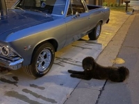 1966 Chevrolet El Camino for sale in Michigan (ID-94598)