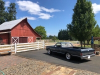 1966 Chevrolet El Camino for sale in Michigan (ID-119066)