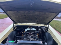 1966 Chevrolet Impala for sale in Michigan (ID-123804)