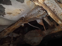 1966 Chevrolet Impala for sale in Midlothian, Texas (ID-143050)