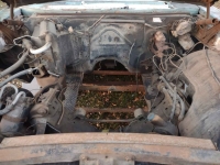 1966 Chevrolet Impala for sale (ID-143068)