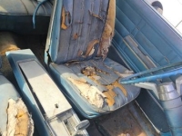 1966 Chevrolet Impala SS for sale in Michigan (ID-138141)