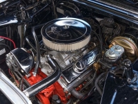 1966 Chevrolet Nova for sale in Riverhead, New York (ID-128199)