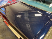 1966 Chevrolet Nova for sale in Michigan (ID-132972)