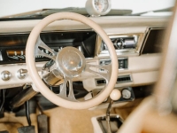 1966 Chevrolet Nova for sale in Michigan (ID-136433)