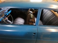 1966 Chevrolet Nova for sale in Michigan (ID-143145)