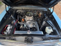 1966 Chevrolet Nova for sale in Michigan (ID-161565)