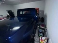 1966 Chevrolet Pickup for sale in Michigan (ID-109835)