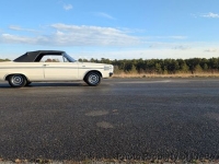 1966 Dodge Dart for sale in Riverhead, New York (ID-135720)