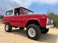 1966 Ford Bronco for sale in Michigan (ID-120500)