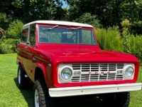 1966 Ford Bronco for sale in Michigan (ID-120500)