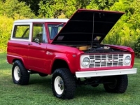 1966 Ford Bronco for sale in Michigan (ID-120500)