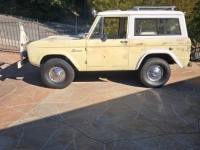 1966 Ford Bronco for sale in Michigan (ID-155938)