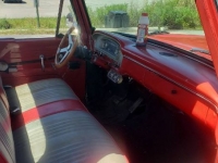 1966 Ford F100 for sale in Michigan (ID-126099)