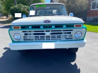 1966 Ford F150 for sale in Michigan (ID-134865)