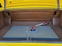 1966 Ford Fairlane for sale in Michigan (ID-107267)