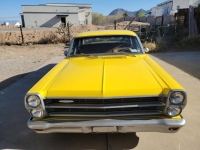 1966 Ford Fairlane for sale in Michigan (ID-107267)
